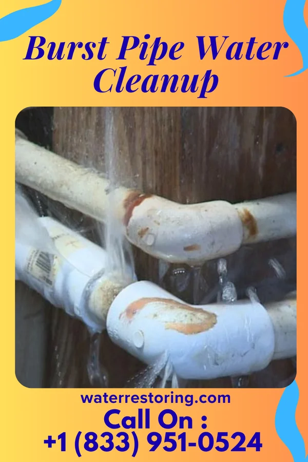 Burst Pipe Water Cleanup in Danville, OH