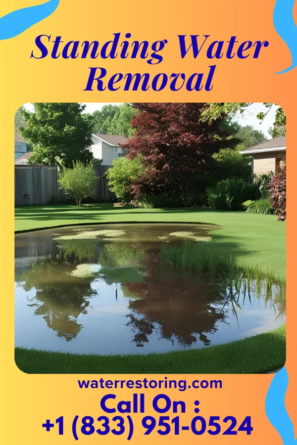 Standing Water Removal in Danville, OH